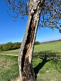 Hrnčiarovce nad Parnou