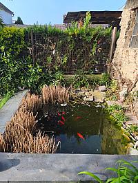 Poděbrady - Velké Zboží