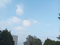 Kopřivnice, Vlčovice