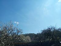 Kopřivnice, Vlčovice