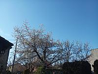 Kopřivnice, Vlčovice