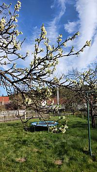 Radňov (Pelhřimov)