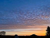 image_1008947.jpg