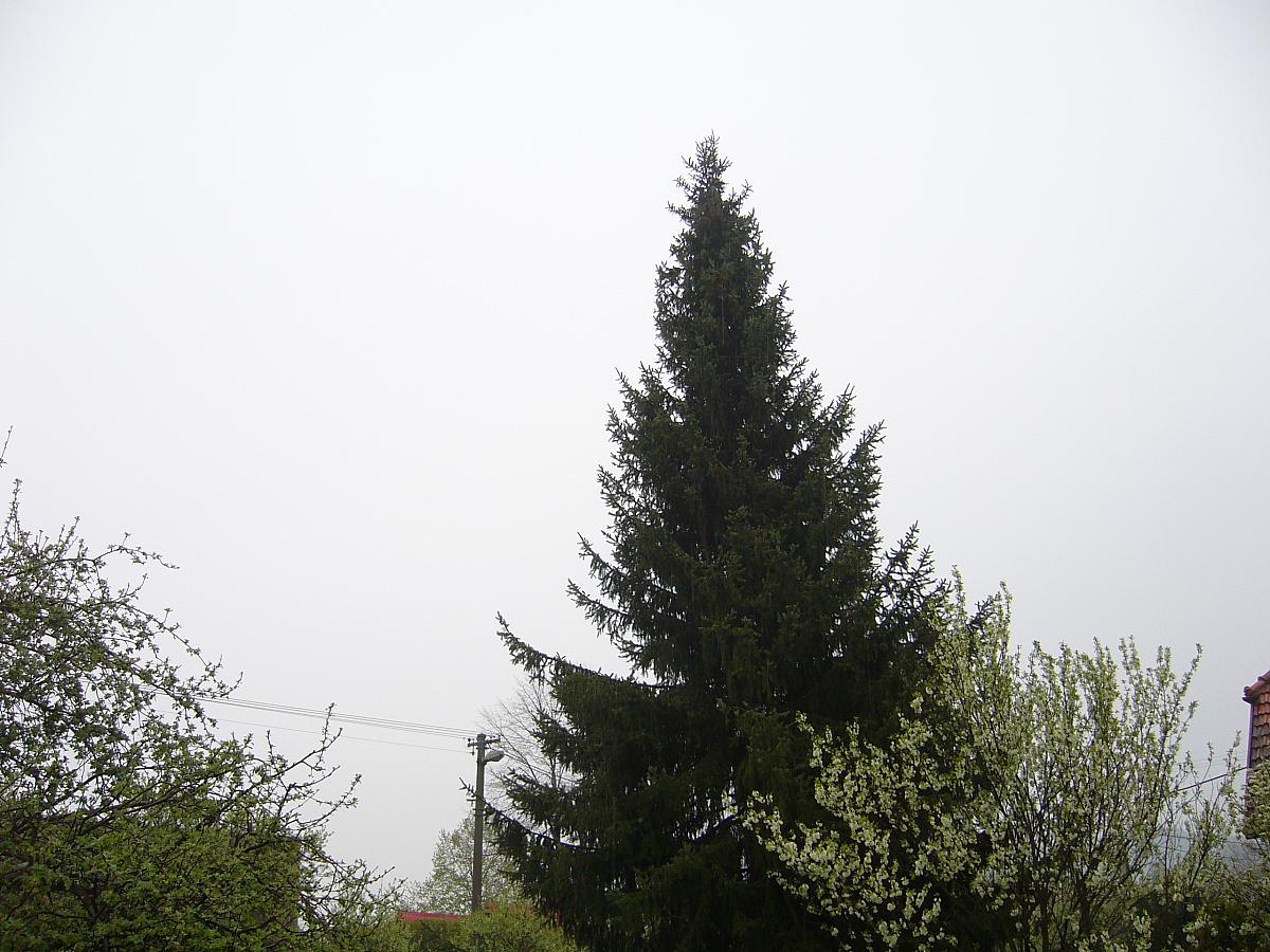 Krhová u Valašského Meziříčí