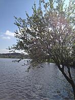 Mnichov (okres Strakonice)