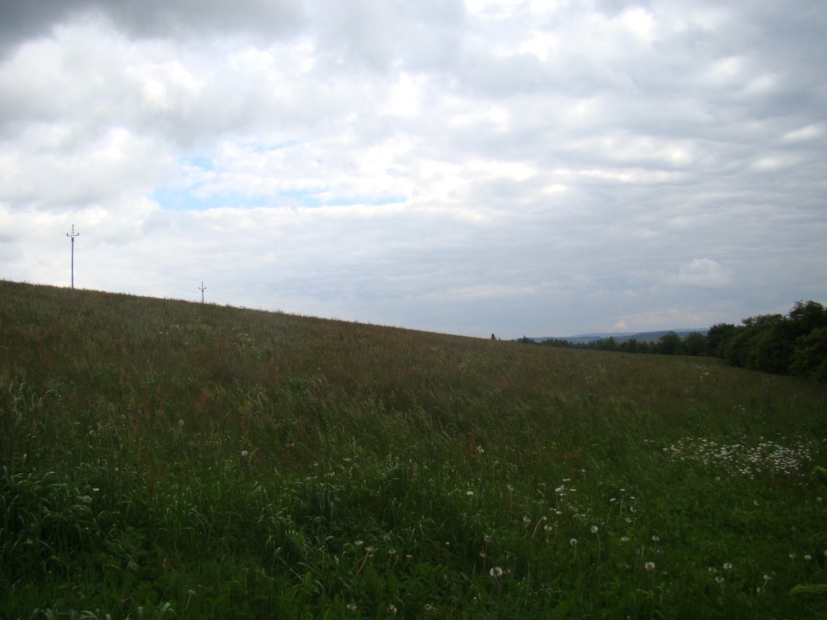 Nové Město na Moravě