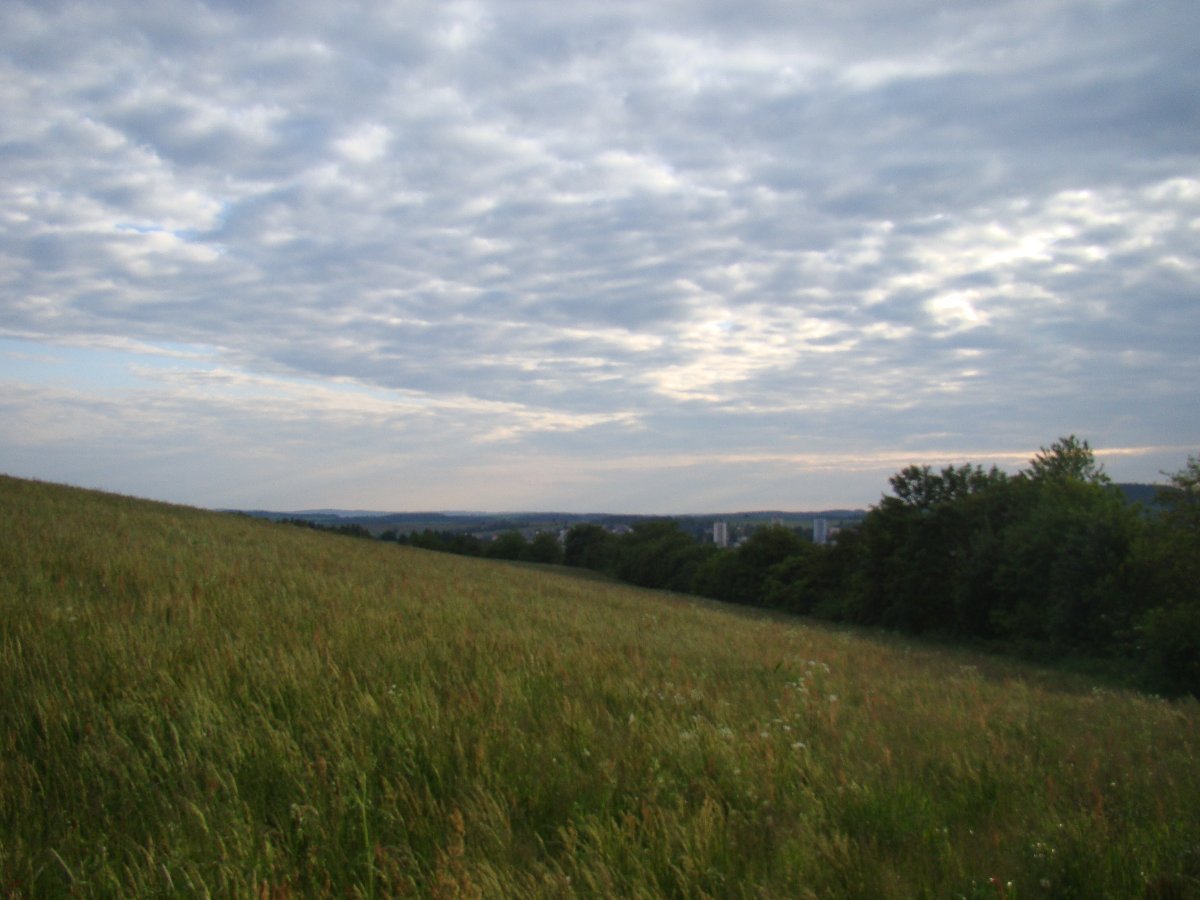 Nové Město na Moravě