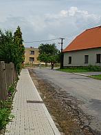 Třibřichy