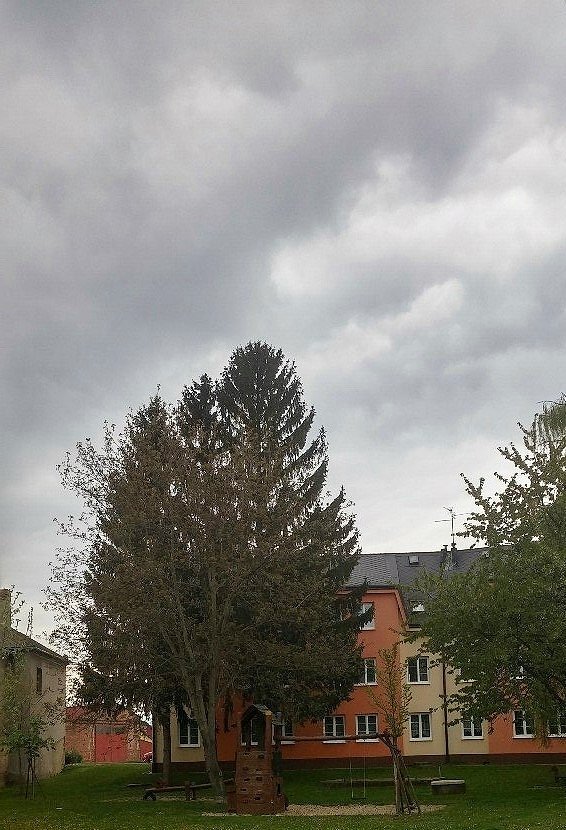 Olšany u Prostějova