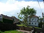 Třibřichy