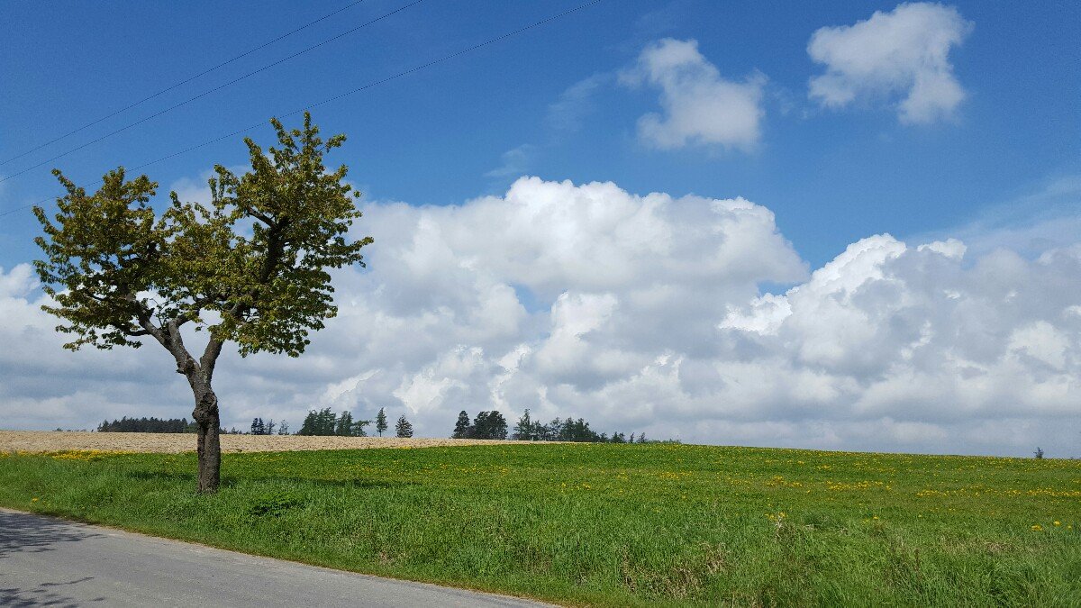 Radimovice u Želče