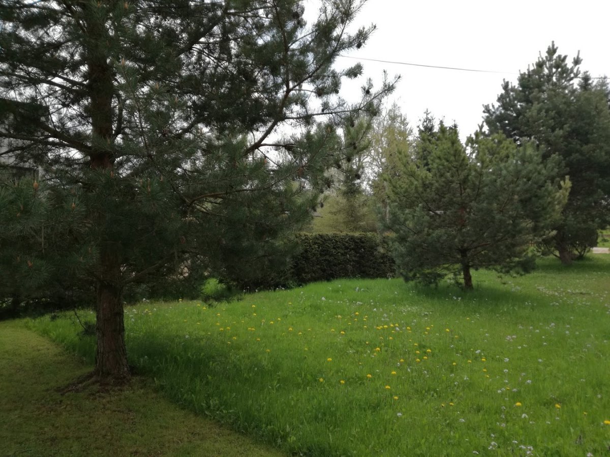 Březová u Broumova