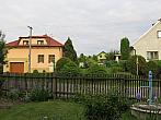 Třibřichy