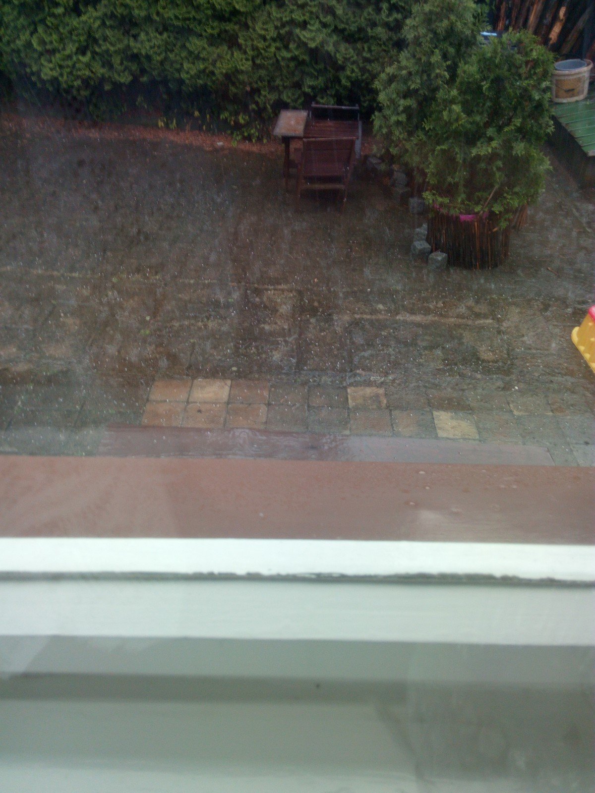 Dvůr Králové nad Labem