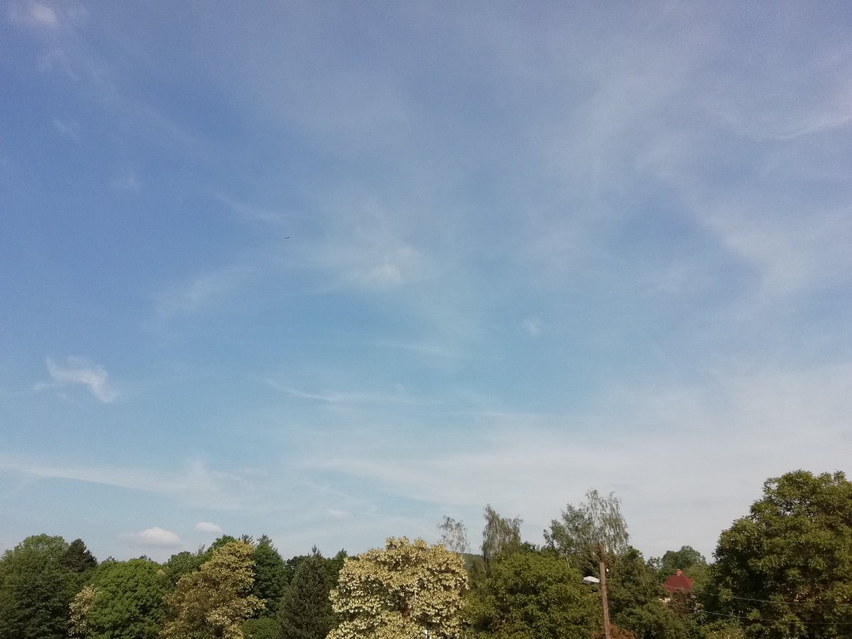 Jílové u Děčína