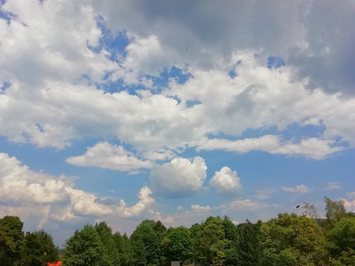 Jílové u Děčína