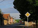 Třibřichy