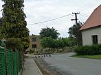 Třibřichy