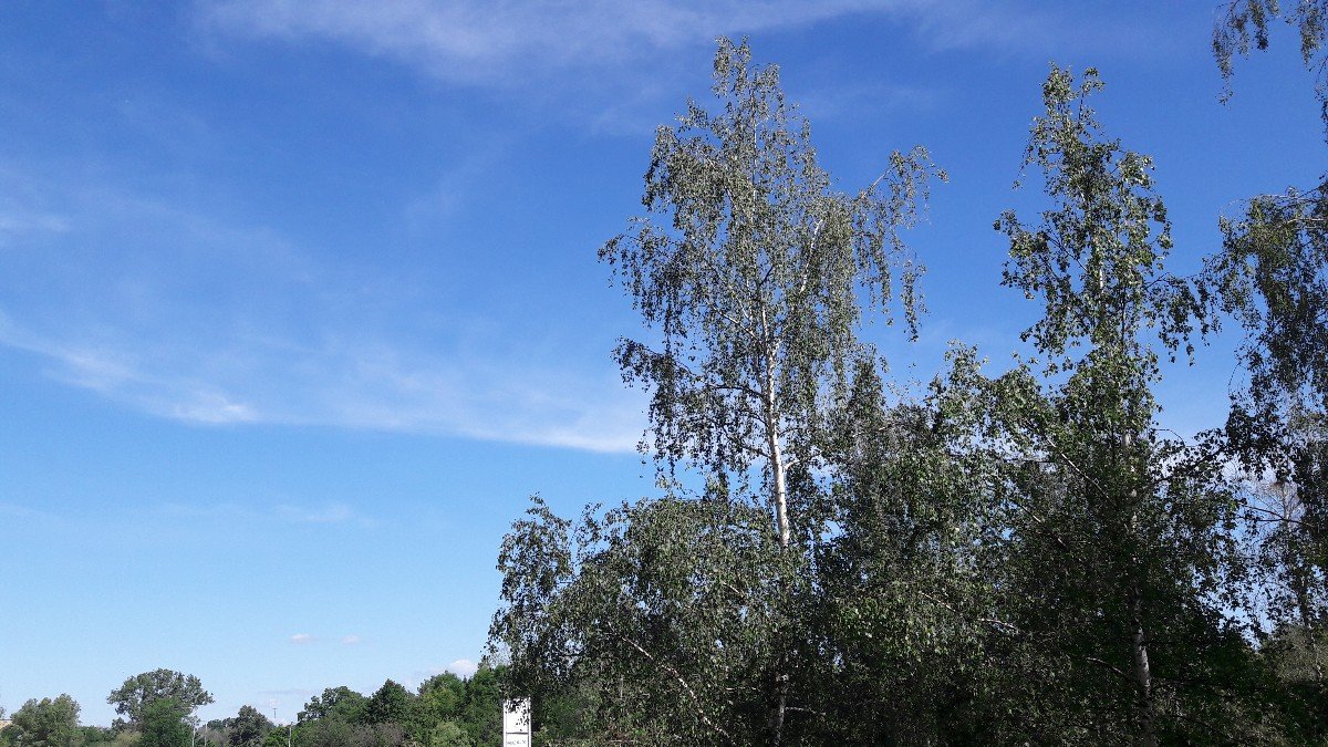 Hradec Králové-Třebeš