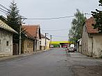 Třibřichy
