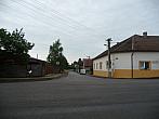 Třibřichy
