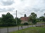 Třibřichy
