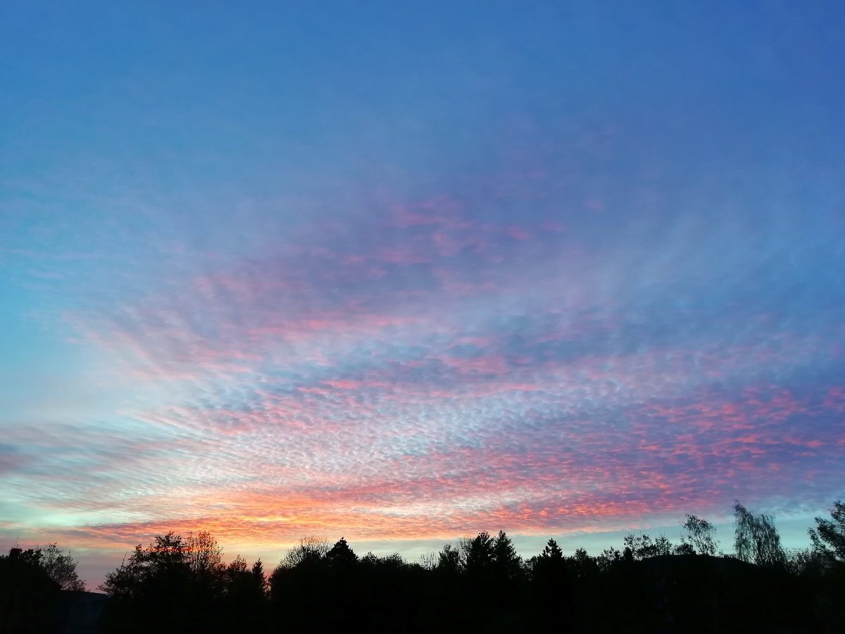 Jílové u Děčína