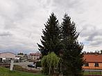 Olešná