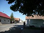 Třibřichy