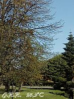 Slavičín,sídliště Vlára