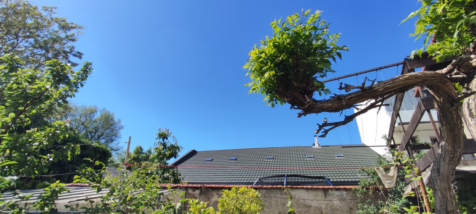 Řepčín-Olomouc-Řepčínská