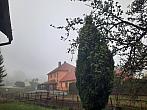 Olešná