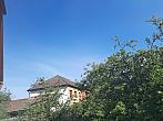 Olešná