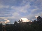Olešná