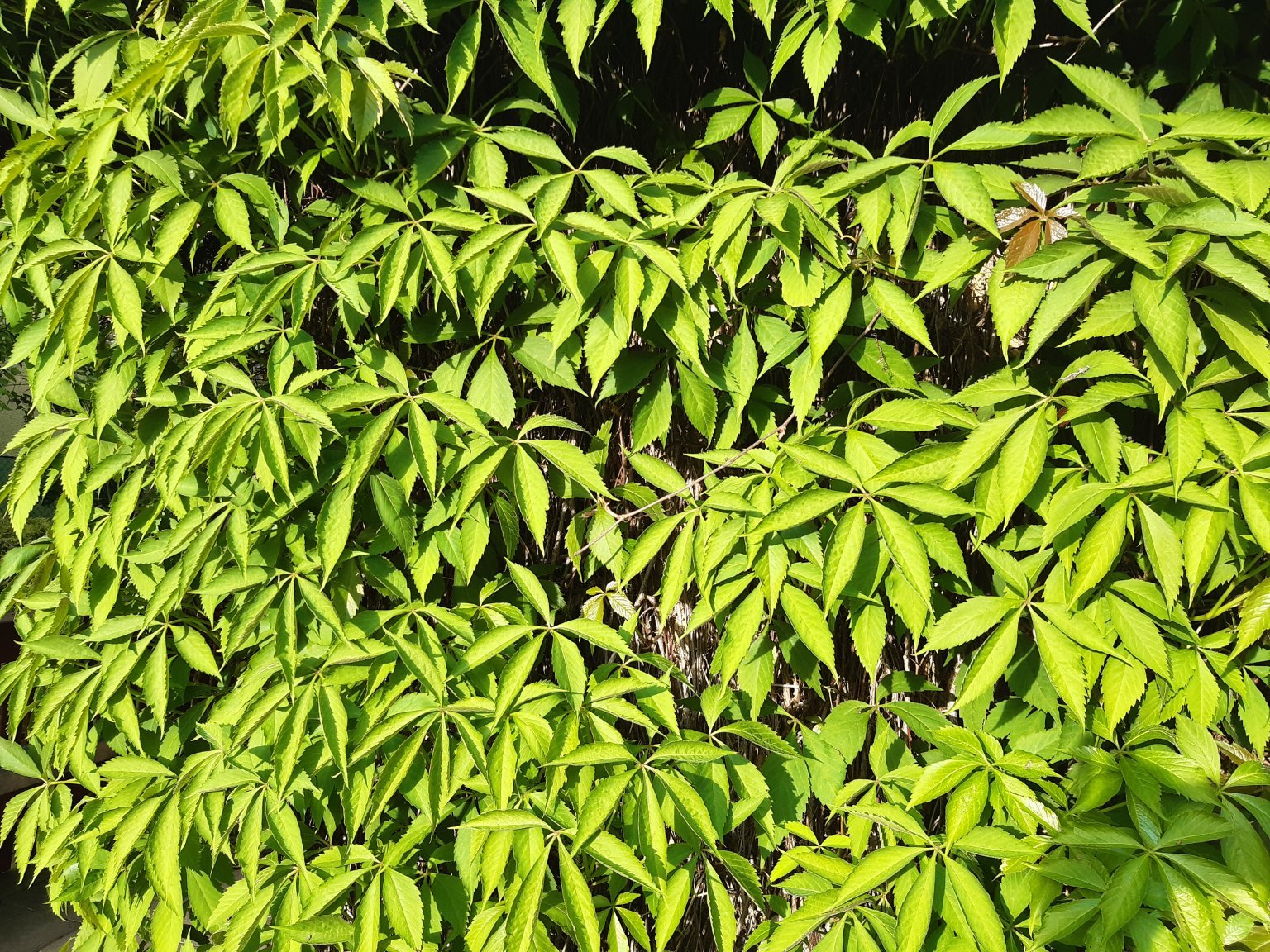 Dobrá u Frýdku-Místku