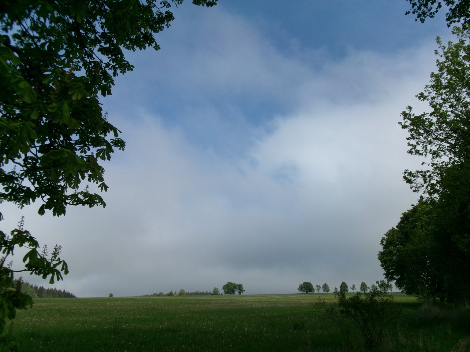 Rokytnice v Orlických horách