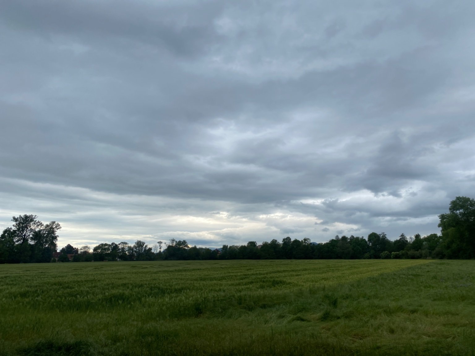 Bohušovice nad Ohří