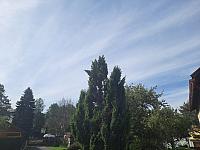 Olešná