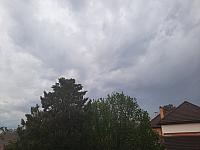 Olešná