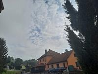 Olešná
