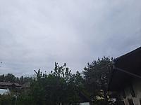 Olešná