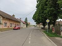 Třibřichy