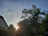 Olešná