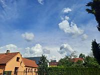Olešná