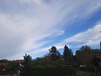 Olešná