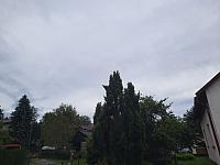Olešná