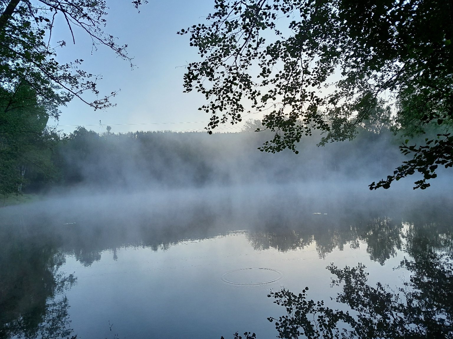 Hodkovice nad Mohelkou