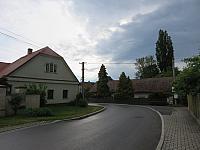 Třibřichy