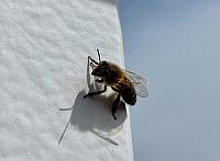 Hrnčiarovce nad Parnou