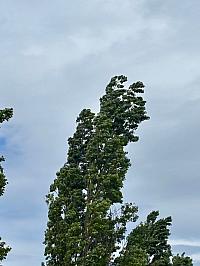 Hrnčiarovce nad Parnou